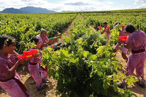 New World Vs. Old World Wines with Alexis Friday December 12th 7:00pm