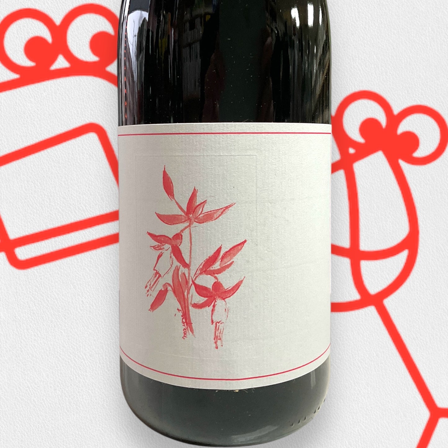 Arnot-Roberts 'El Dorado' Gamay Noir 2023 California - Williston Park Wines & Spirits