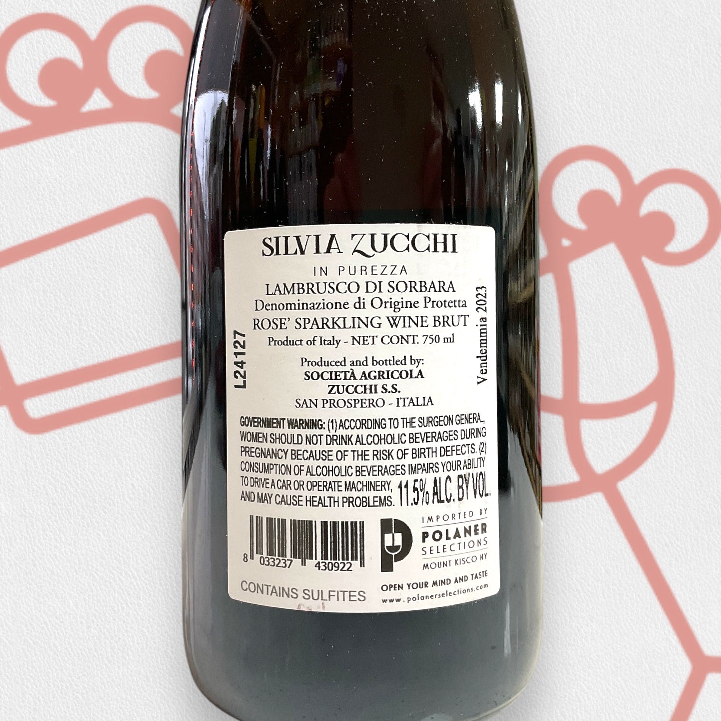 Zucchi Lambrusco di Sorbara Rosato 2023 Emilia Romagna, Italy - Williston Park Wines & Spirits