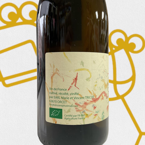 Marie & Vincent Tricot 'Escargot' 2023 Auvergne, France - Williston Park Wines & Spirits