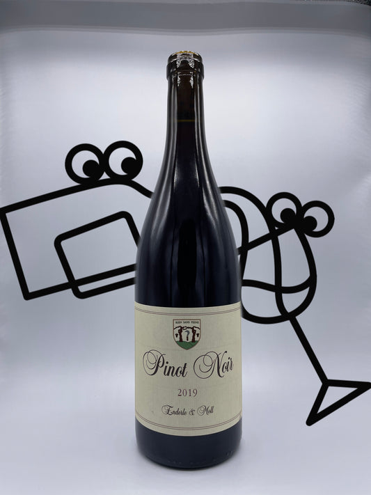 Enderle & Moll Basis Pinot Noir Baden Germany Williston Park Wines