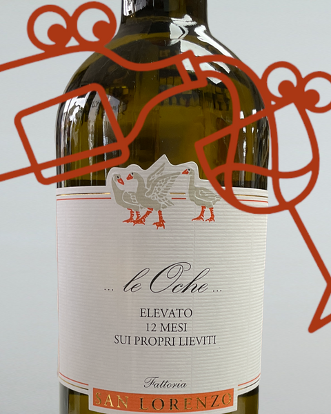 Fattoria San Lorenzo 'Le Oche' 2020 Marche, Italy - Williston Park Wines & Spirits
