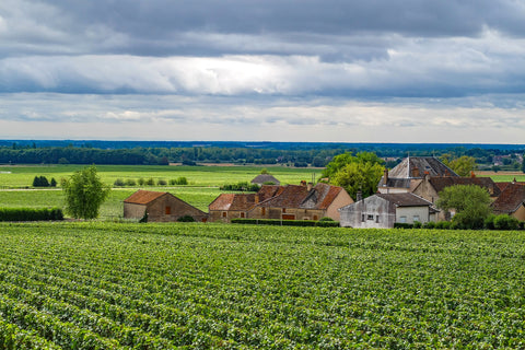 French