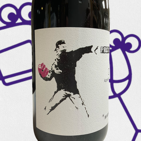 Baptiste Bertrand Brouilly 'Procrastinateur' 2020 Beaujolais, France - Williston Park Wines & Spirits