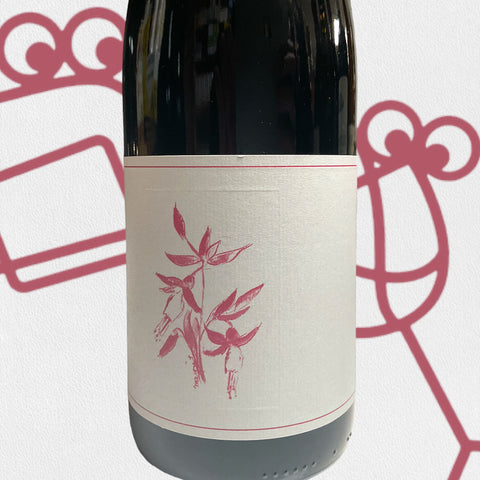 Arnot-Roberts 'El Dorado' Gamay Noir 2018 California - Williston Park Wines & Spirits