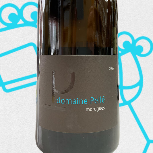 Domaine Pelle Menetou-Salon Morogues 2022 Loire Valley, France - Williston Park Wines & Spirits