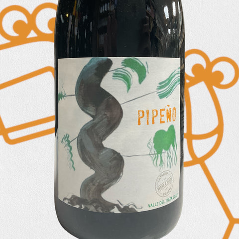 Catalina Ugarte Pipeno 2022 Itata, Chile - Williston Park Wines & Spirits
