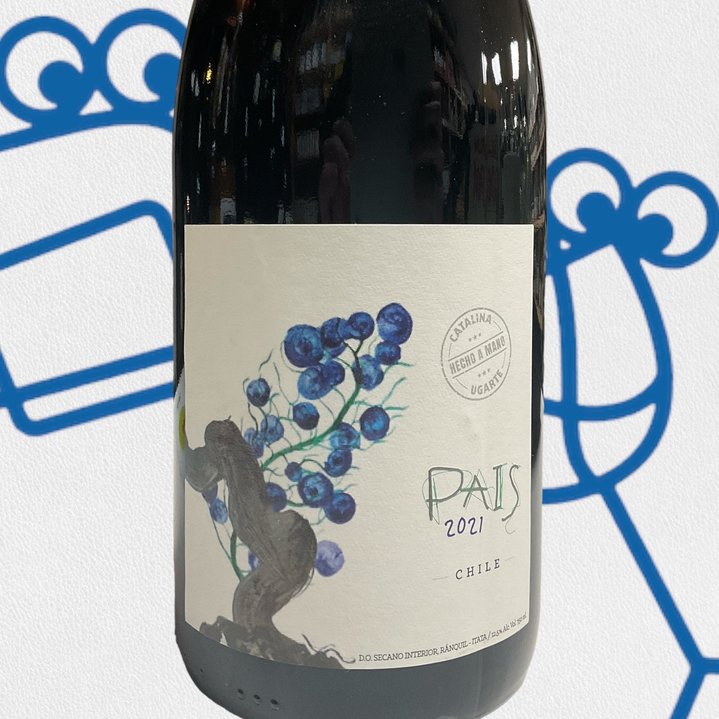 Catalina Ugarte Pais 2021 Itata, Chile - Williston Park Wines & Spirits