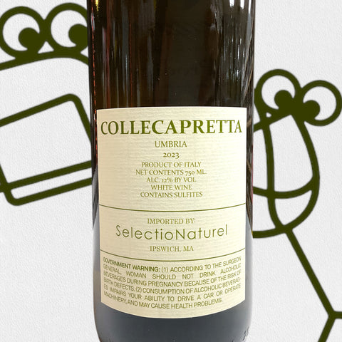 Collecapretta 'Il Prodigo' 2023 Umbria, Italy - Williston Park Wines & Spirits