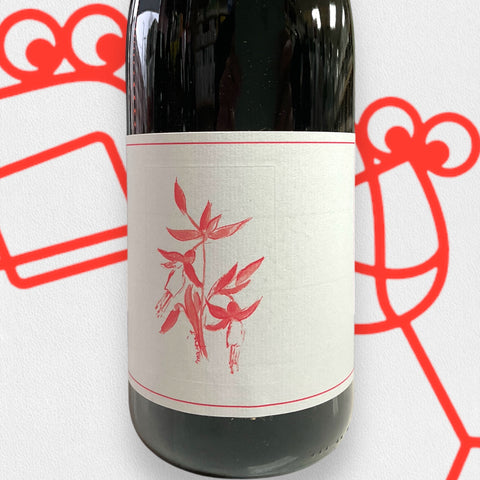 Arnot-Roberts 'El Dorado' Gamay Noir 2023 California - Williston Park Wines & Spirits