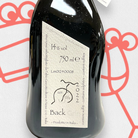 Fabio Gea 'Back Grin' 2022 Piedmont, Italy - Williston Park Wines & Spirits