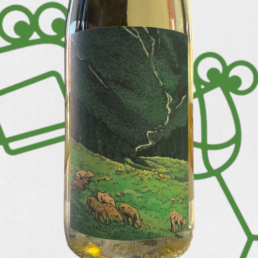 Kelley Fox Gruner Veltliner 2023 Willamette Valley, Oregon - Williston Park Wines & Spirits