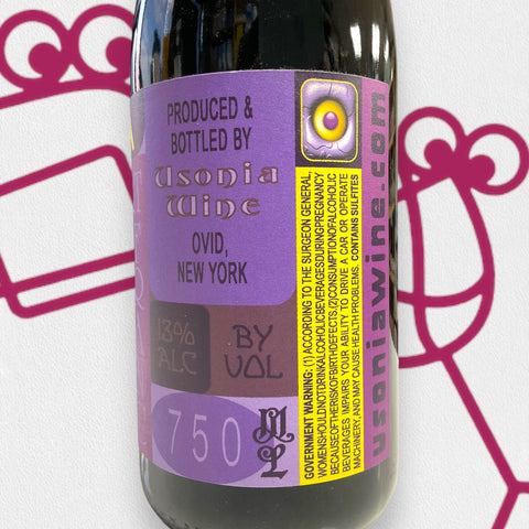 Usonia Cabernet Franc 2022 Finger Lakes, NY - Williston Park Wines & Spirits
