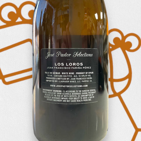 Juan Francisco Farina Los Loros 'La Bota De Mateo' 2022 Canary Islands, Spain