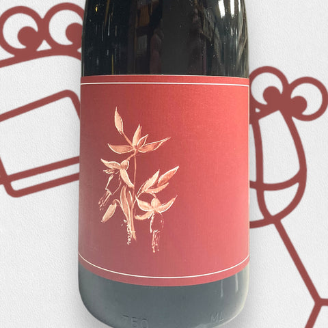 Arnot-Roberts Syrah 2024 California