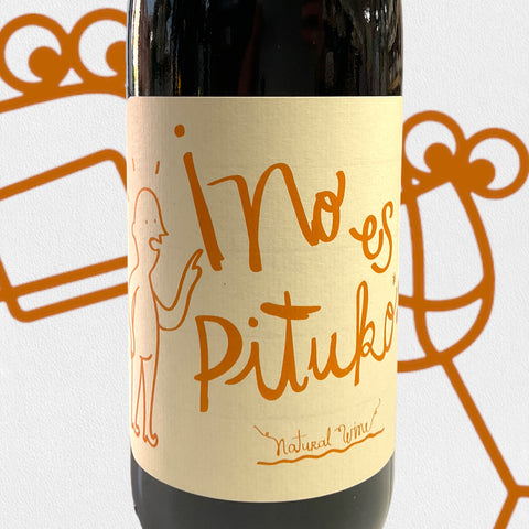 Echeverria 'No Es Pituko' Cabernet Franc 2022 Central Valley, Chile - Williston Park Wines & Spirits