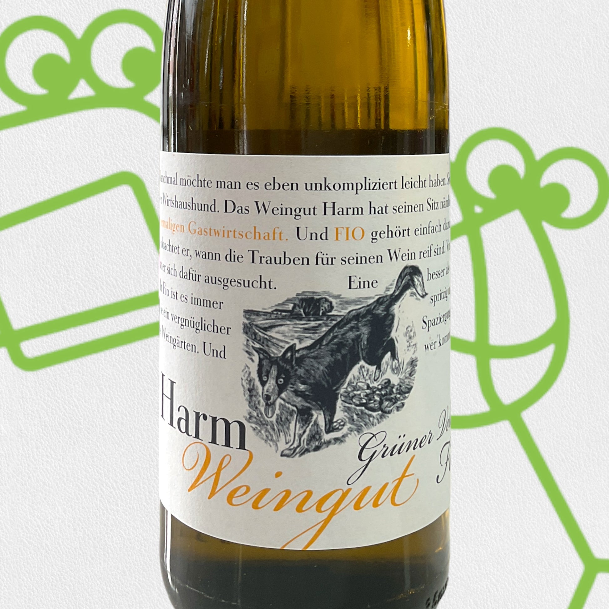 Harm 'Fio' Gruner Veltliner 2021 Wachau, Austria - Williston Park Wines & Spirits