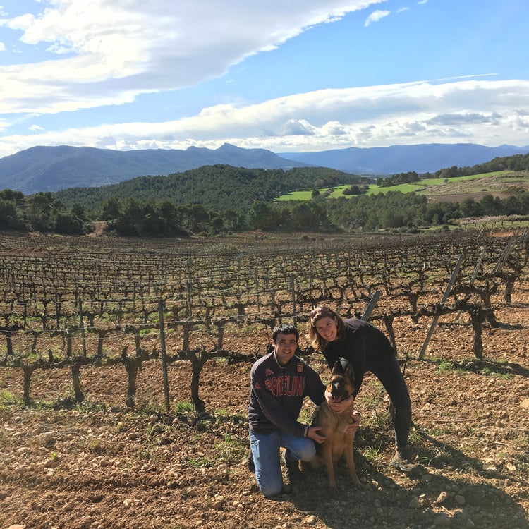 Success Vinicola Parellada 'Experiencia' Conca de Barbera, Spain - Williston Park Wines & Spirits