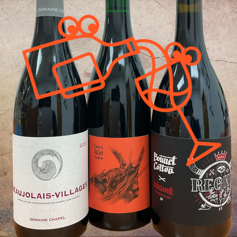 Beaujolais Wine Pack - Williston Park Wines & Spirits