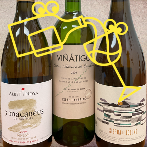 Spanish White Wine Pack - Williston Park Wines & Spirits