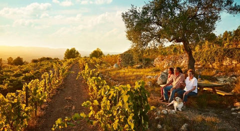 Albet i Noya 3 Macabeus 2019 Penedes, Spain - Williston Park Wines & Spirits