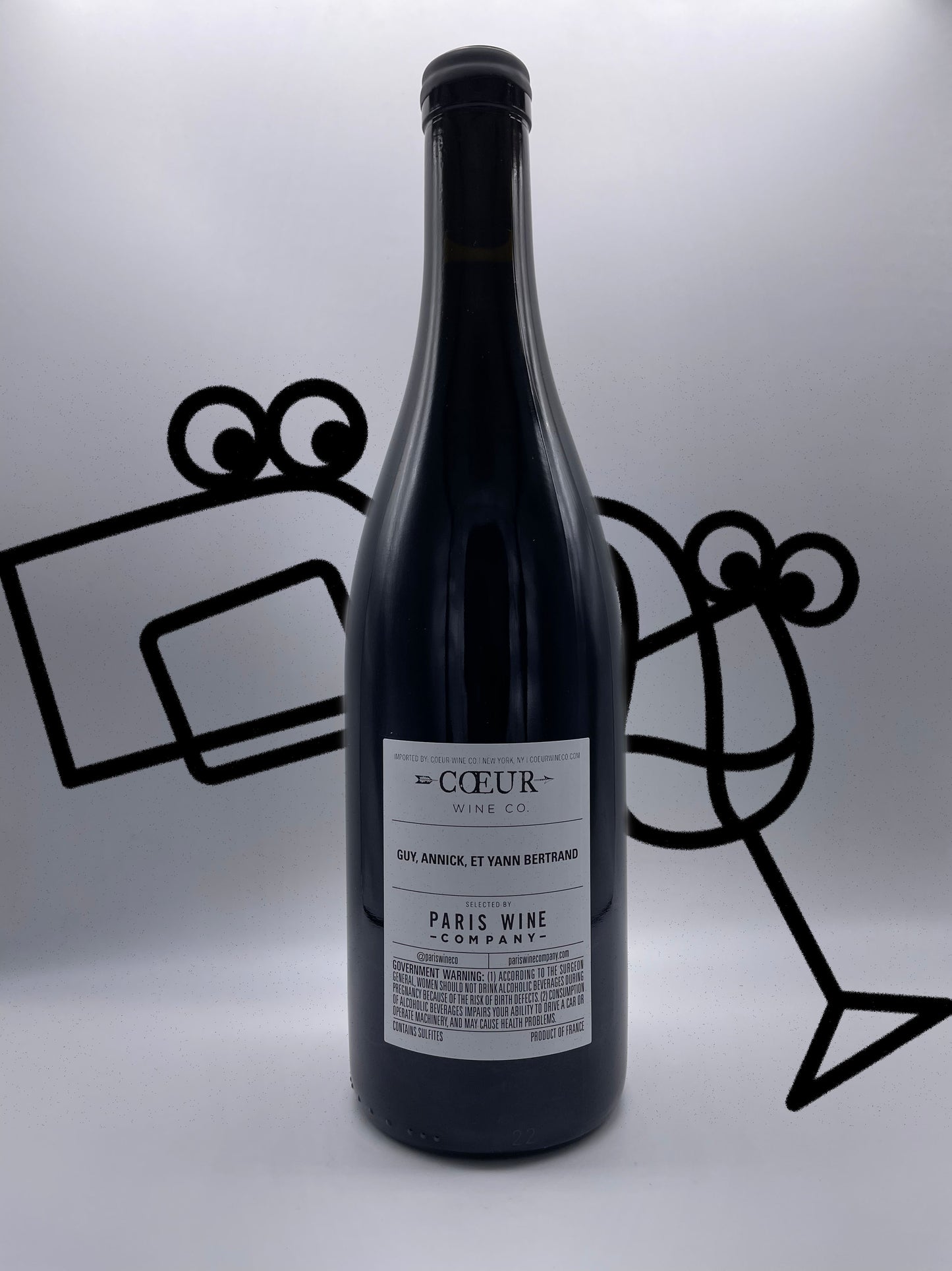 Yann Bertrand Saint Amour 'Les Bambins' 2021 Beaujolais, France - Williston Park Wines & Spirits