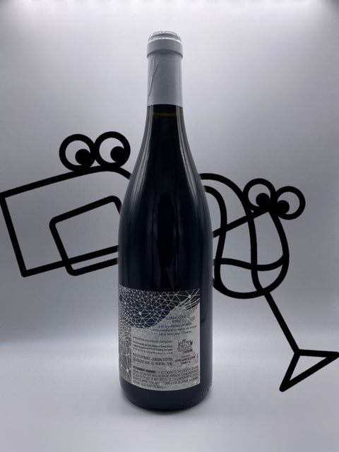 Naima & David Didon Bourgogne Rouge 2020 Burgundy, France - Williston Park Wines & Spirits