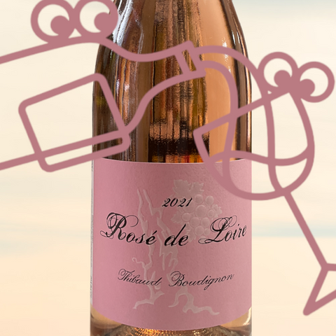 Thibaud Boudignon Rosé de Loire 2021 Loire Valley, France - Williston Park Wines & Spirits
