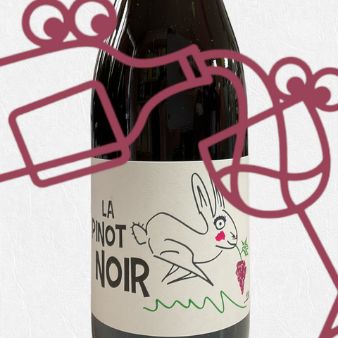 Coujan Pinot Noir 2020 Languedoc-Roussillon, France - Williston Park Wines & Spirits