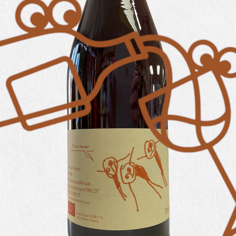 Marie & Vincent Tricot 'Les 3 Bonhommes Rouge' 2021 Auvergne, France - Williston Park Wines & Spirits