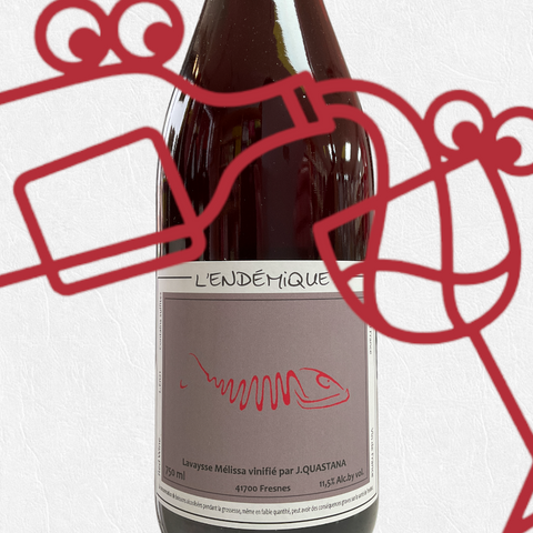 Jeremy Quastana 'L'Endemique' 2021 Beaujolais, France - Williston Park Wines & Spirits