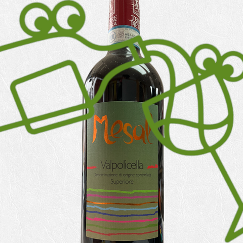 Terre di Pietra 'Mesal' Valpolicella Superiore 2013 Veneto, Italy - Williston Park Wines & Spirits
