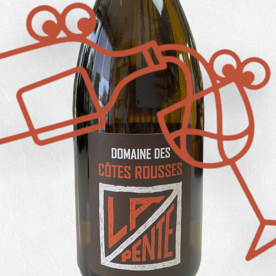 Domaine Des Cotes Rousses 'La Pente' 2019 Savoie, France - Williston Park Wines & Spirits