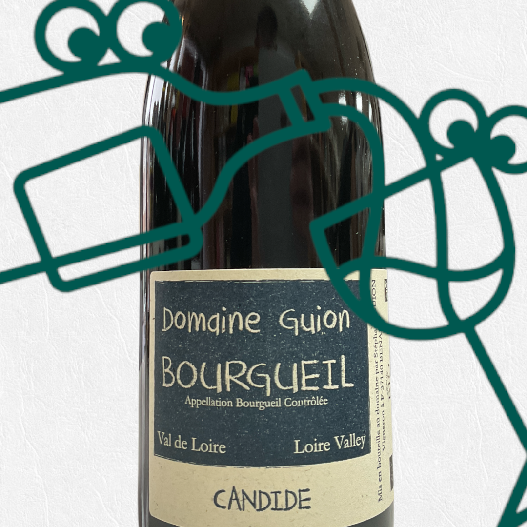 Domaine Guion 'Candide' 2020 Loire Valley, France - Williston Park Wines & Spirits