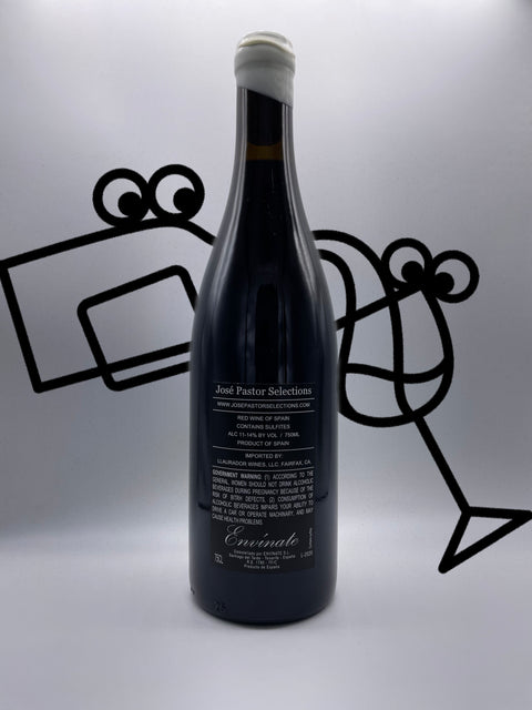 Envínate 'Migan Chingao' 2020 Canary Islands, Spain - Williston Park Wines & Spirits