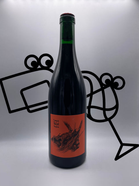 Romuald Valot Chenas Biosophiste 2020 Beaujolais, France Williston Park Wines