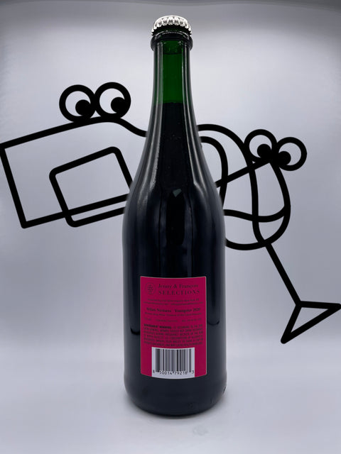 Milan Nestarec 'Youngster' Rosé 2020 - Williston Park Wines & Spirits